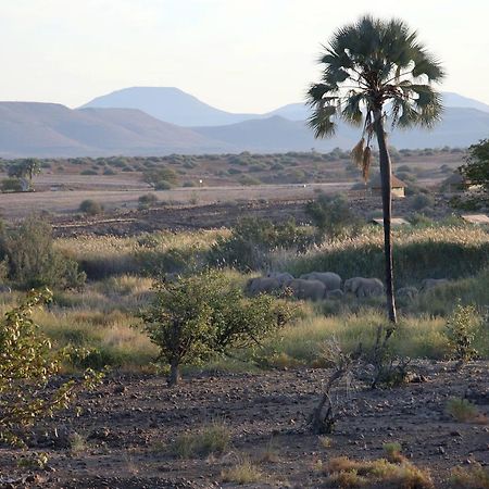 Palmwag Campsite Екстер'єр фото